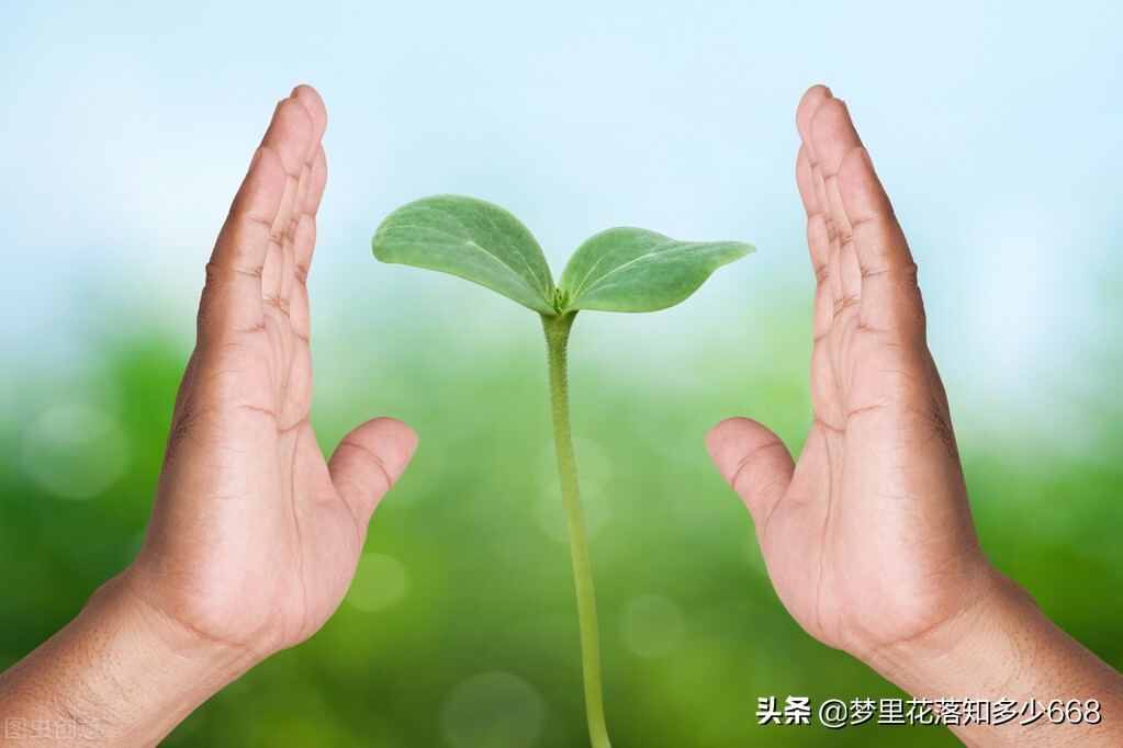 如何与叛逆期离家出走的孩子沟通,当孩子叛逆时家长应该怎样做视频