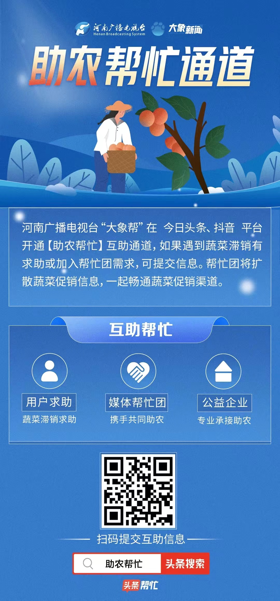 助农卖萝卜,罗山县助农卖萝卜