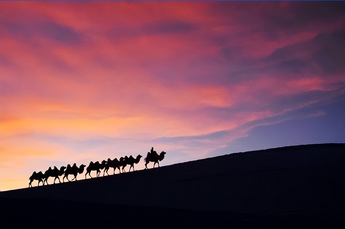 今年的主场外交有哪些,中国今年的外交主场活动