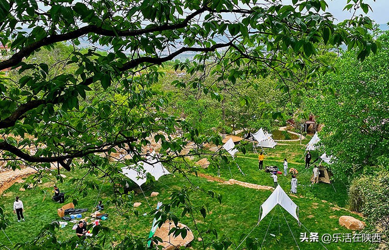 蓝田荞麦花海和高山草甸,西安荞麦花海旅游