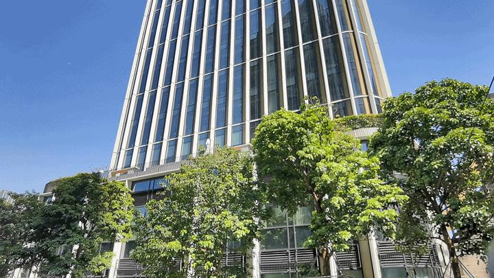 德系大师,德大师设计