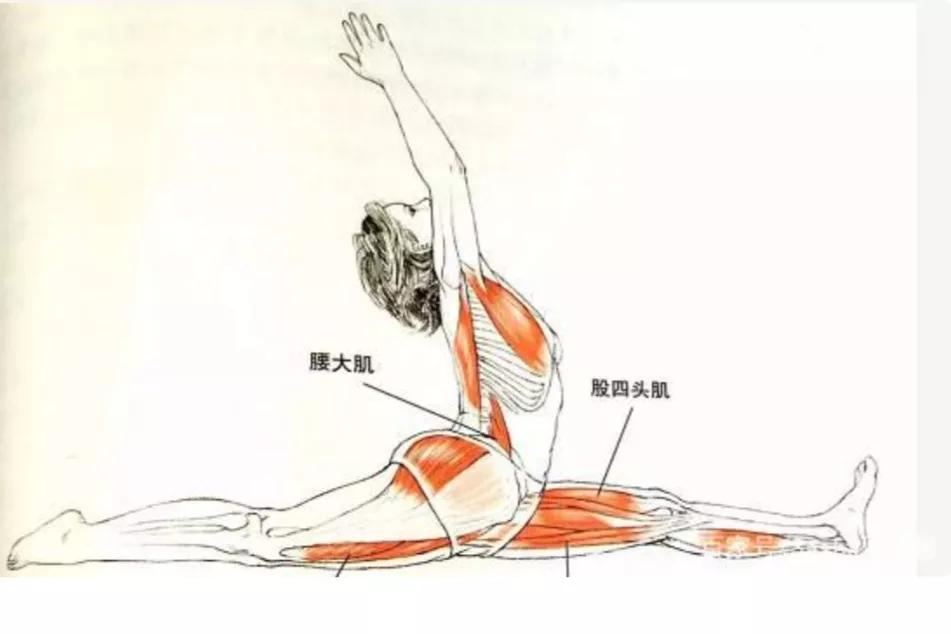 瑜伽神猴式需要练多久,空中瑜伽神猴式难度版