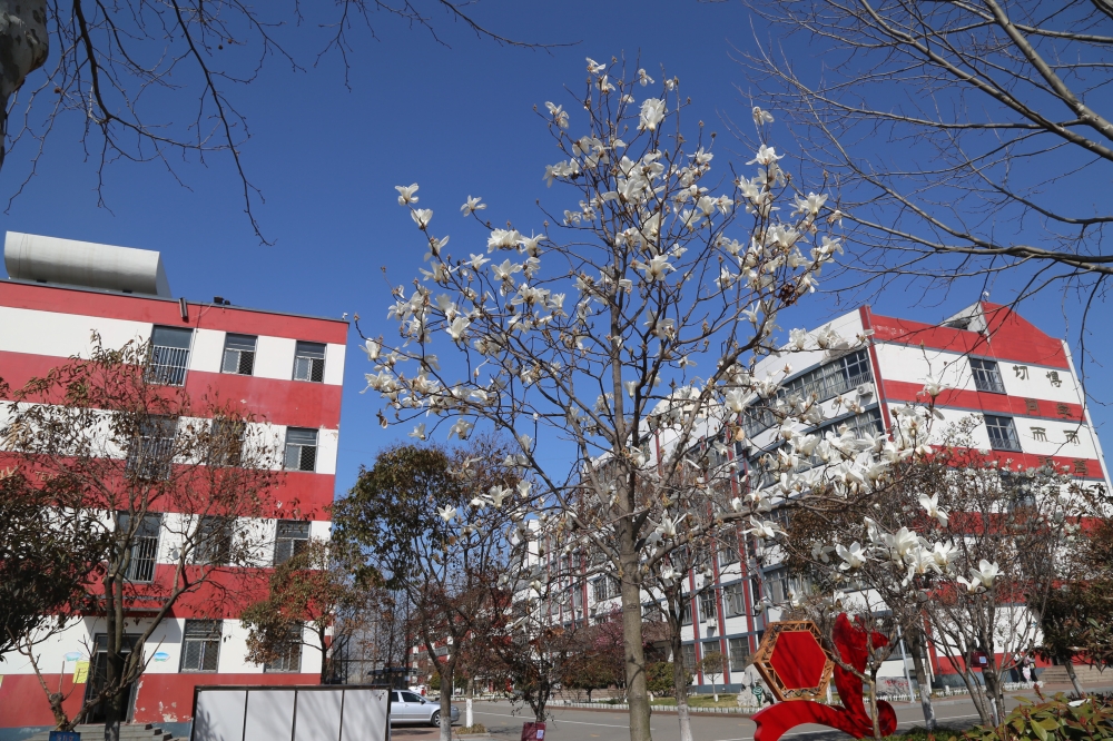 益民实验中学临沂,临沂市益民实验中学升学率怎么样