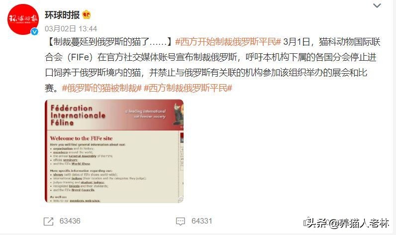 俄罗斯猫被制裁狗的反应,制裁俄罗斯猫什么意思