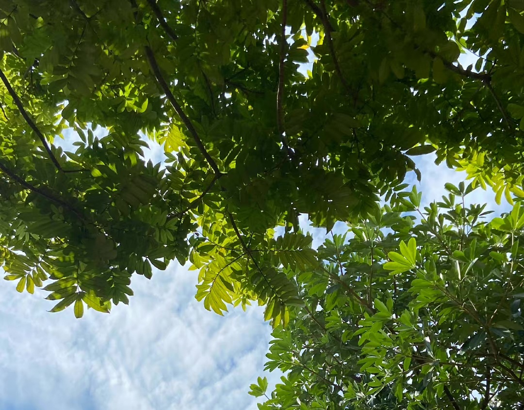 当代成年人，无心恋爱只想搞钱，12条赚钱干货送你