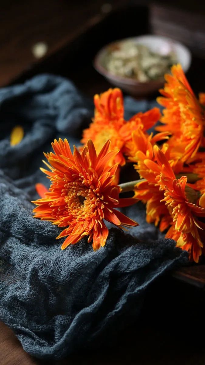 爱戴加厚内衣无痕无钢圈,爱戴最新内衣发布会