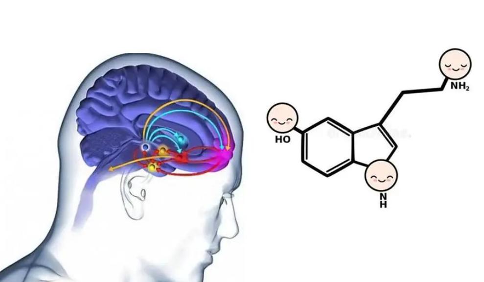 年纪轻轻阳痿怎么治,治疗阳痿缺哪种营养