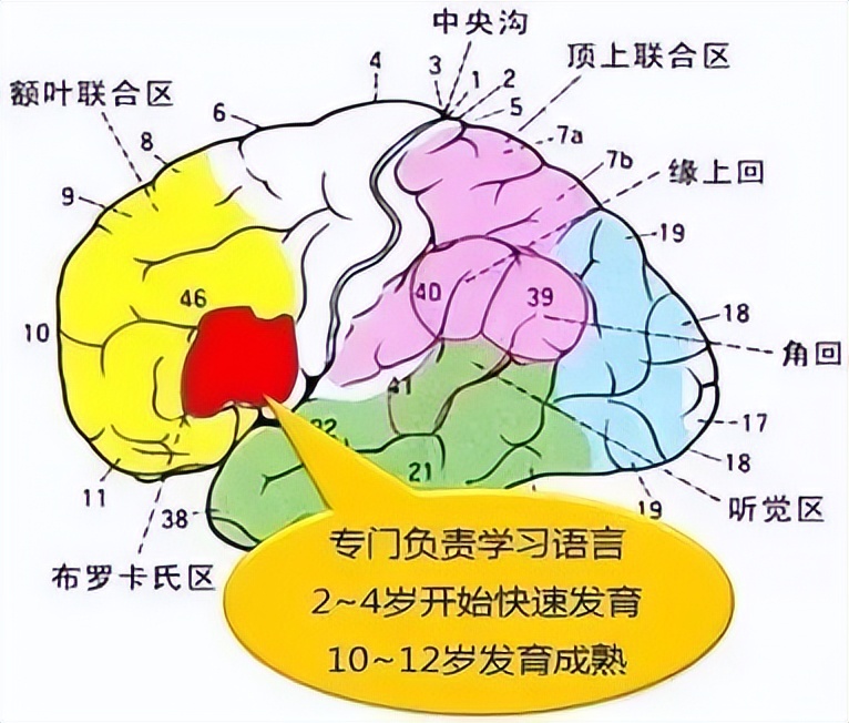 到底该怎么给孩子规划英语的学习,教你规划孩子高中英语学习