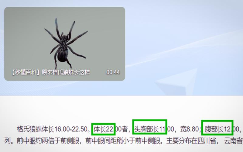 燃烧意志新限定希留,燃烧意志黑玛利亚什么时候出