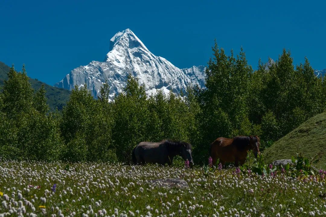 途远集团携手Bizworld硅谷少年财商营，走进“雪山脚下木栏村”