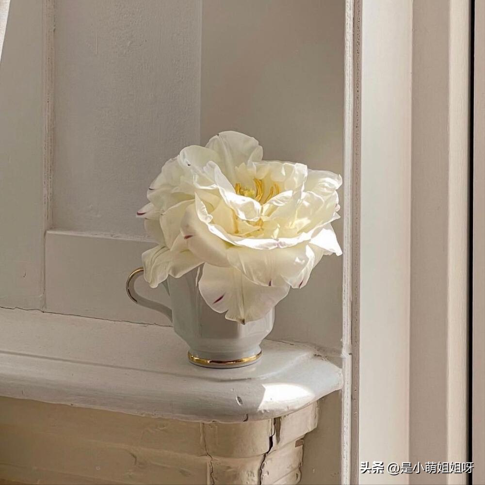 年入600万怎么赚钱,年入300万家庭