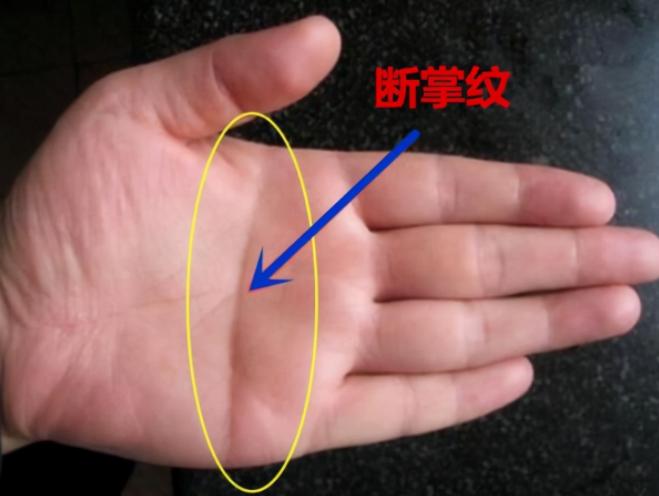 一手断掌代表什么,断掌一根线富贵不相欠啥意思