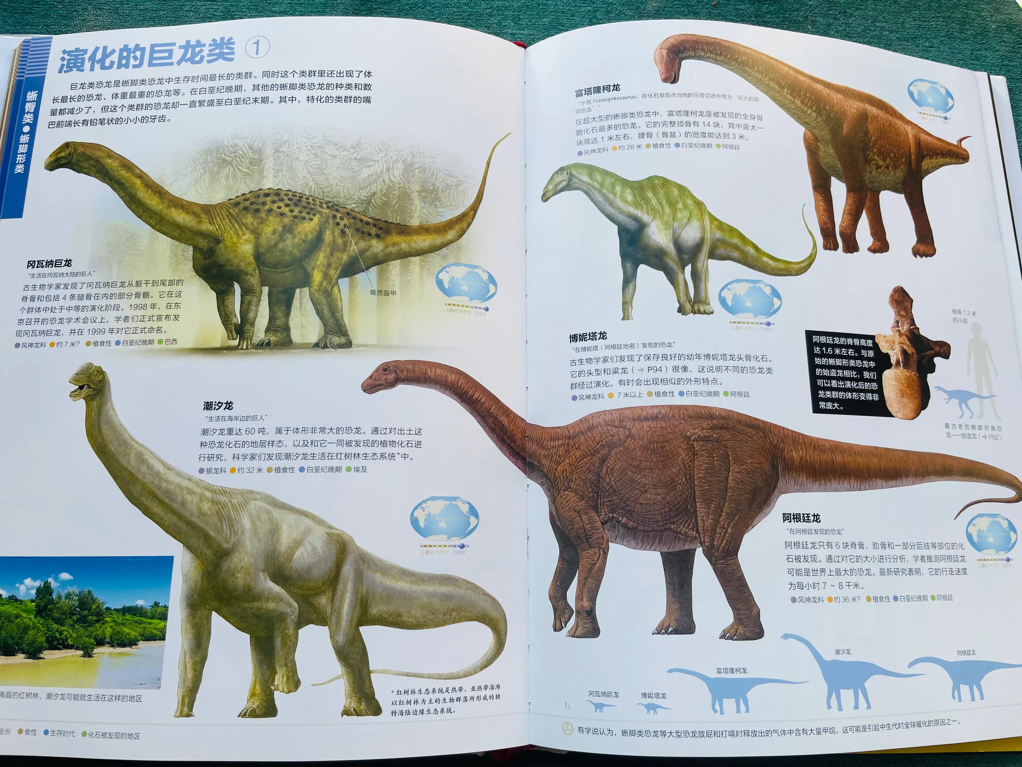 恐龙书单,恐龙的书单