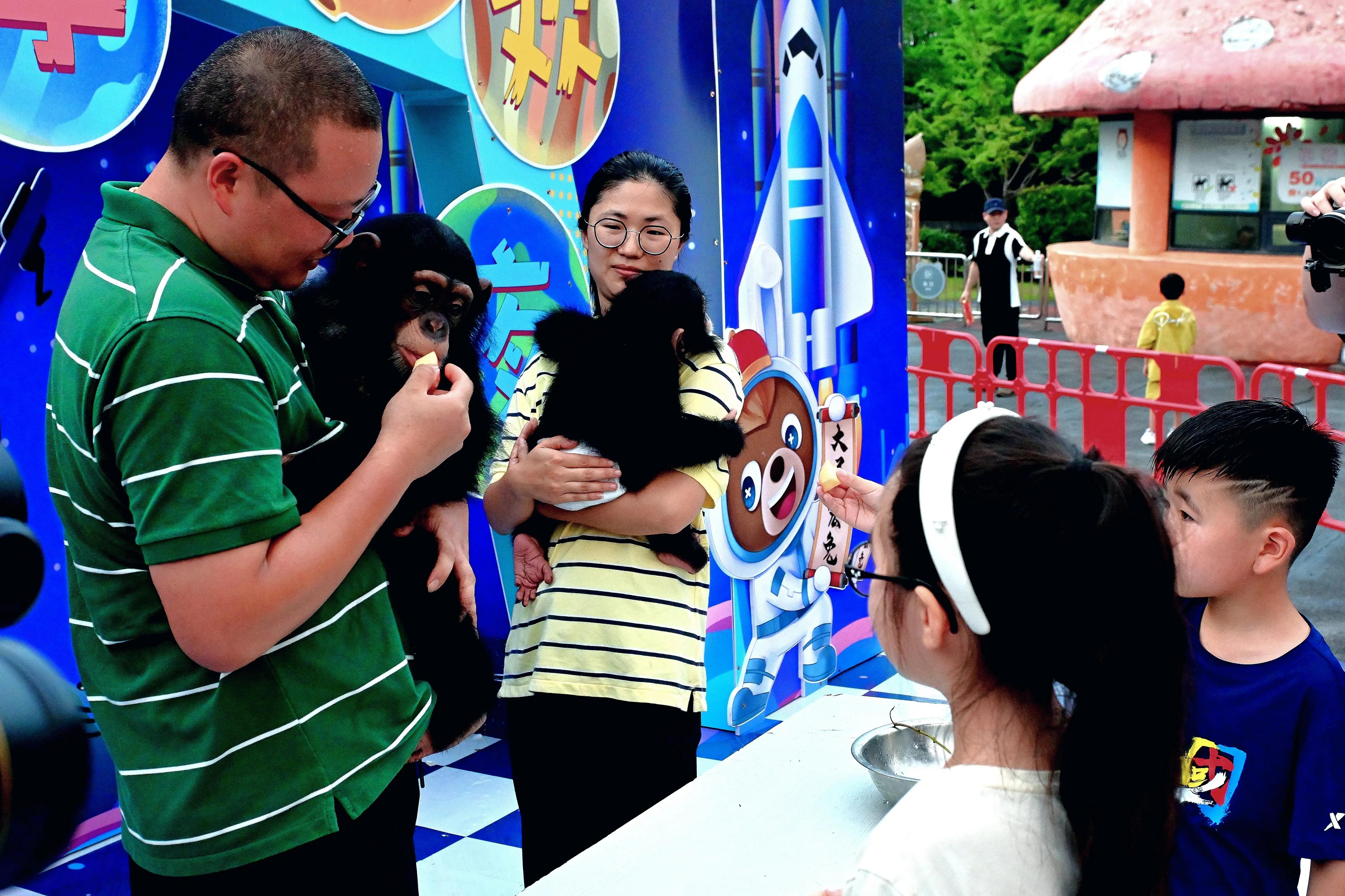 无锡动物园夜公园游玩攻略,无锡动物园攻略