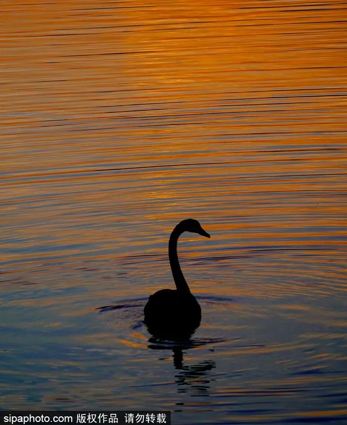 冬天颐和园昆明湖全景,观赏颐和园昆明湖