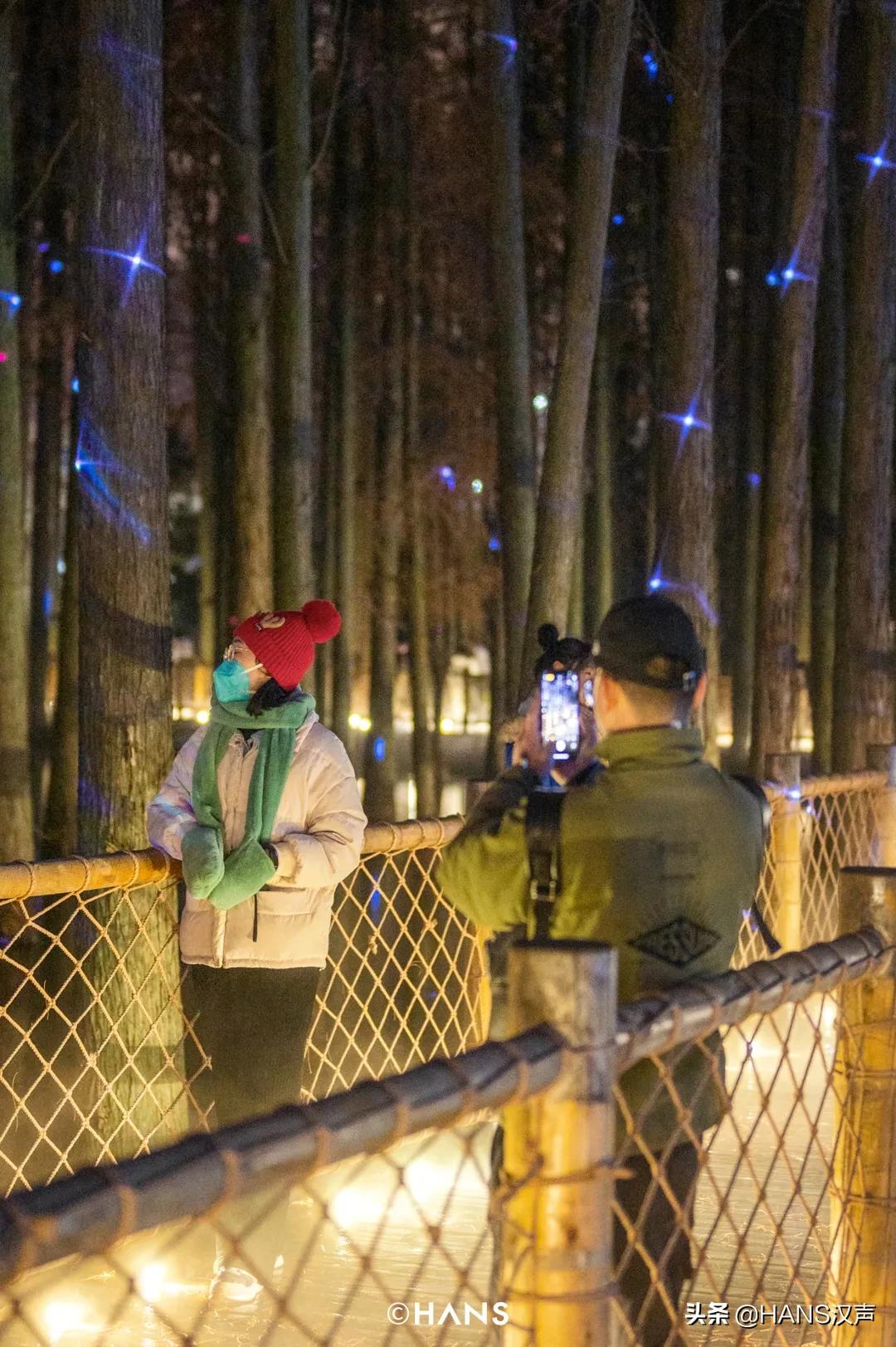 请注意！胖虎出没武汉街头