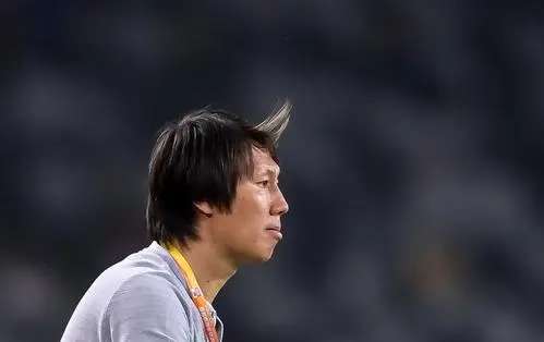 谈论中国足球,关于中国足球的探讨文章