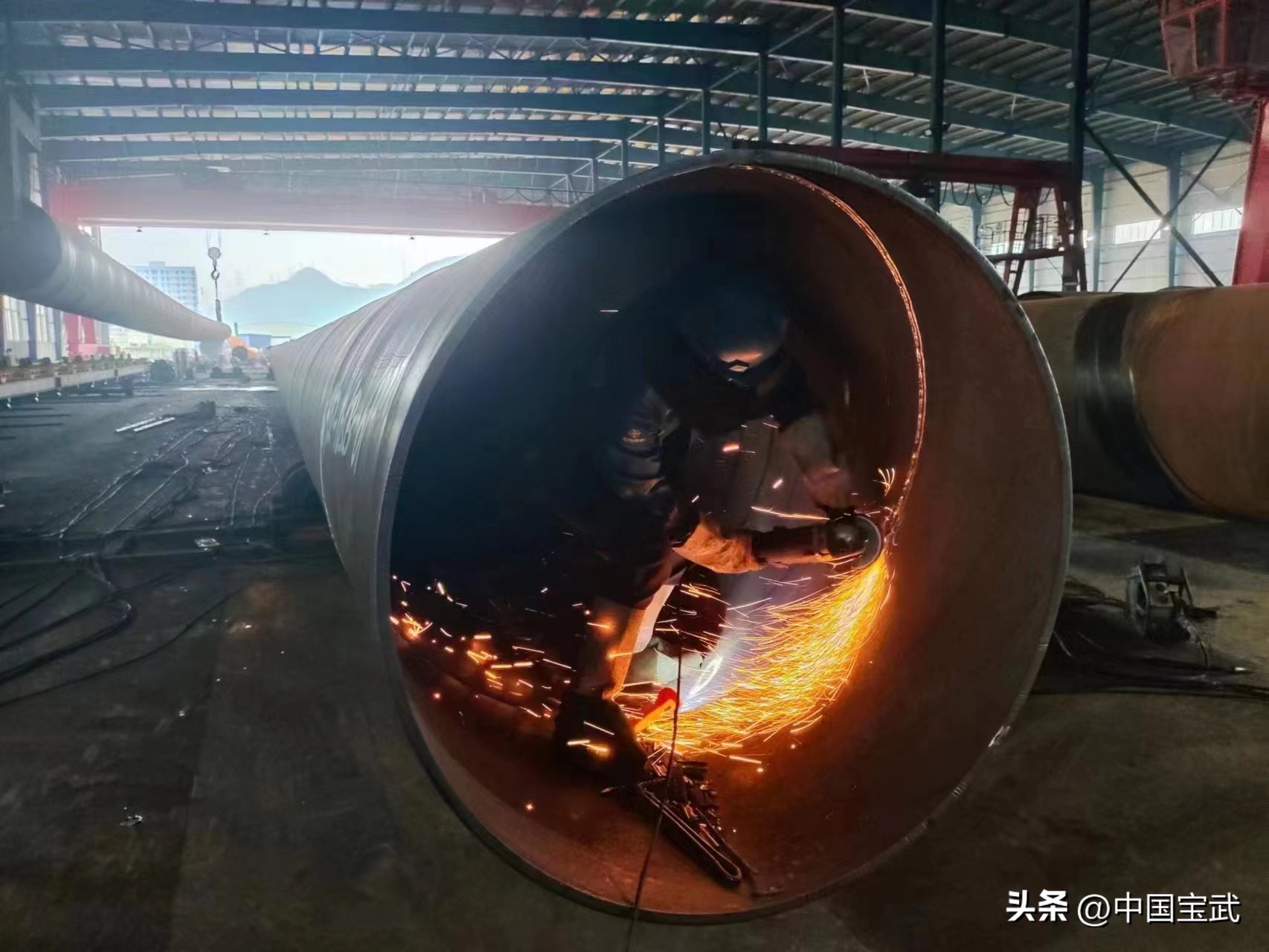 巴斯夫集团落户湛江会带来什么,巴斯夫落户湛江是好是坏