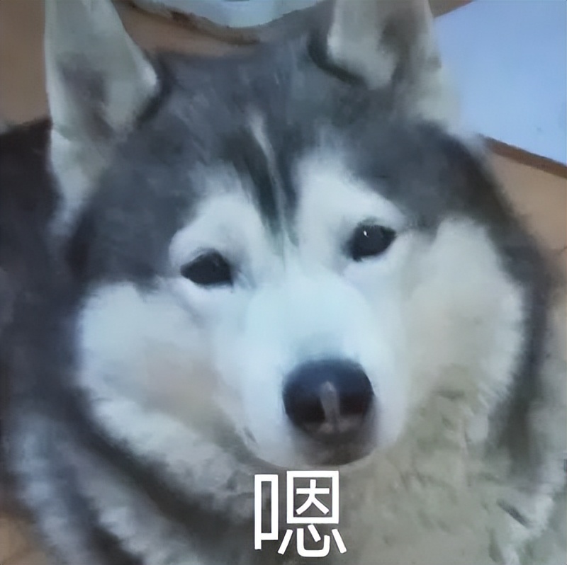 气场强大正直可靠的星座,为人有点傲气因此容易吃亏的星座