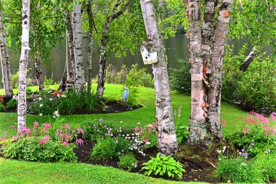 室外萌宠乐园一站式加盟,匠志萌宠乐园加盟