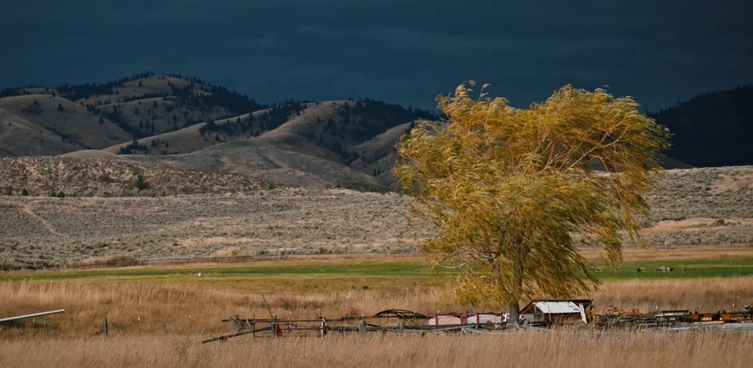 2021年十部必看的高评分美剧推荐,最火美剧2021热播美剧有哪些