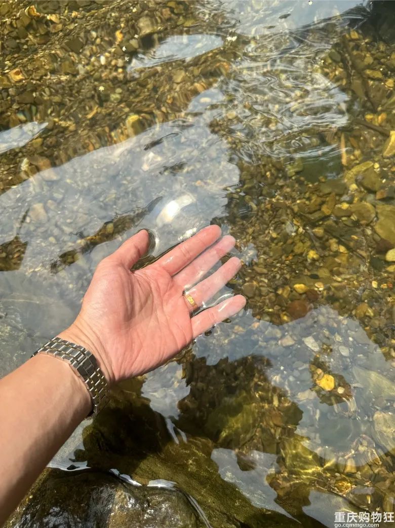 小长假旅游景点大全,夏季周边旅游美食之旅