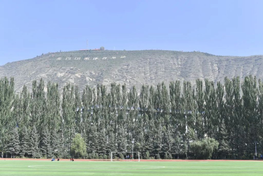 尹顺金巅峰照片,尹顺金的跑姿