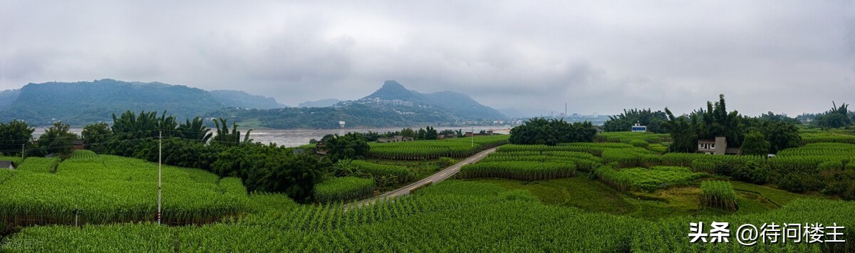 中国当代著名诗人作品欣赏,中国当代十大杰出诗人