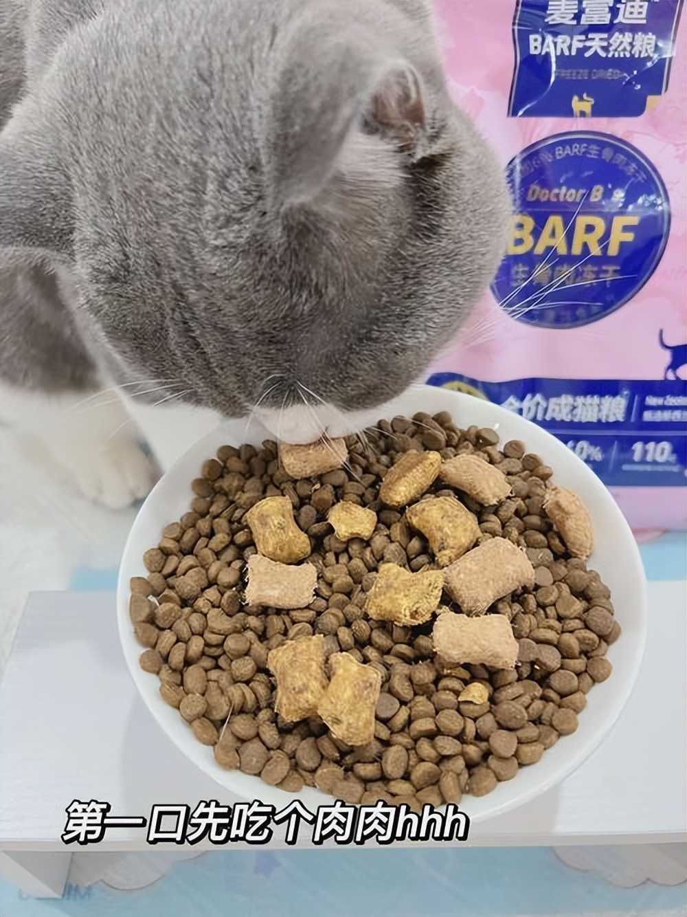 猫换牙齿,猫换牙会有什么症状