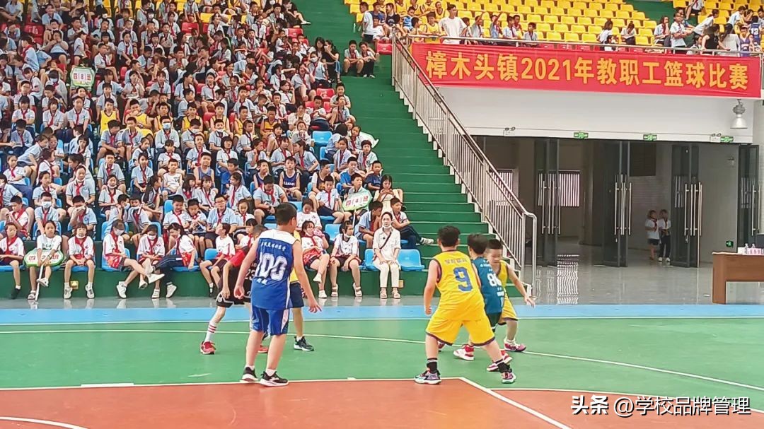 樟木头实验小学好不好,樟木头实验小学和中心小学的区别