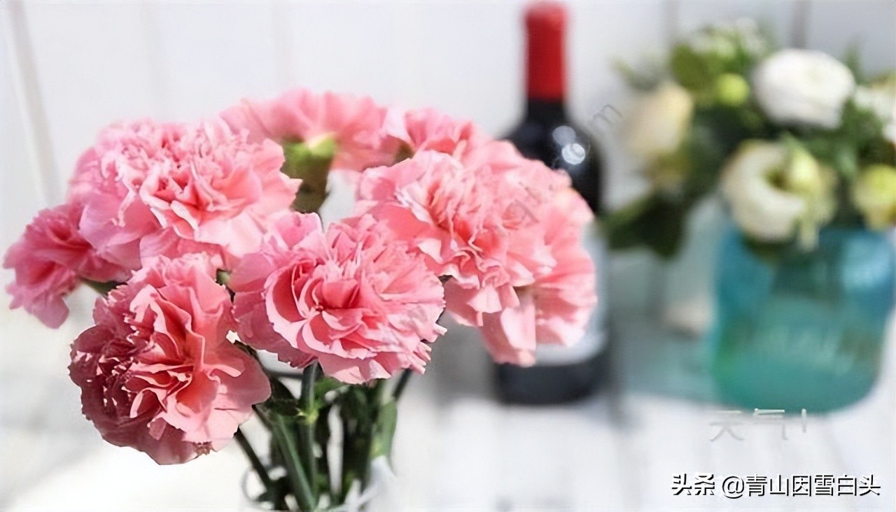 适合目前在农村创业的项目,五个适合农村创业的好项目推荐