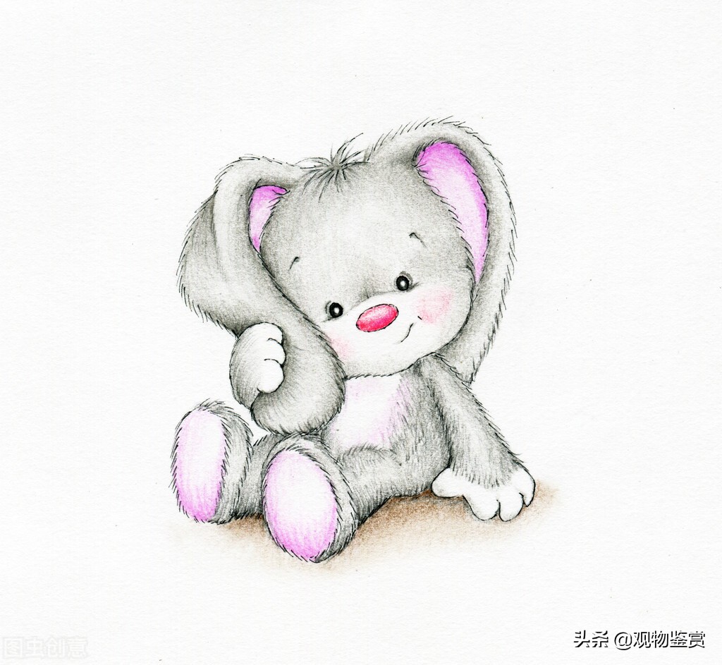 表现兔子很开心、怎么样地回到了森林