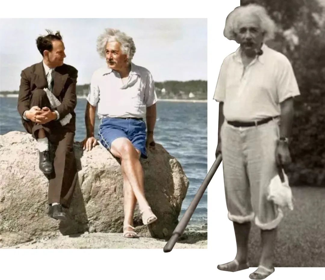 最近很火的大牌鞋子女,今年最时髦的女鞋百丽