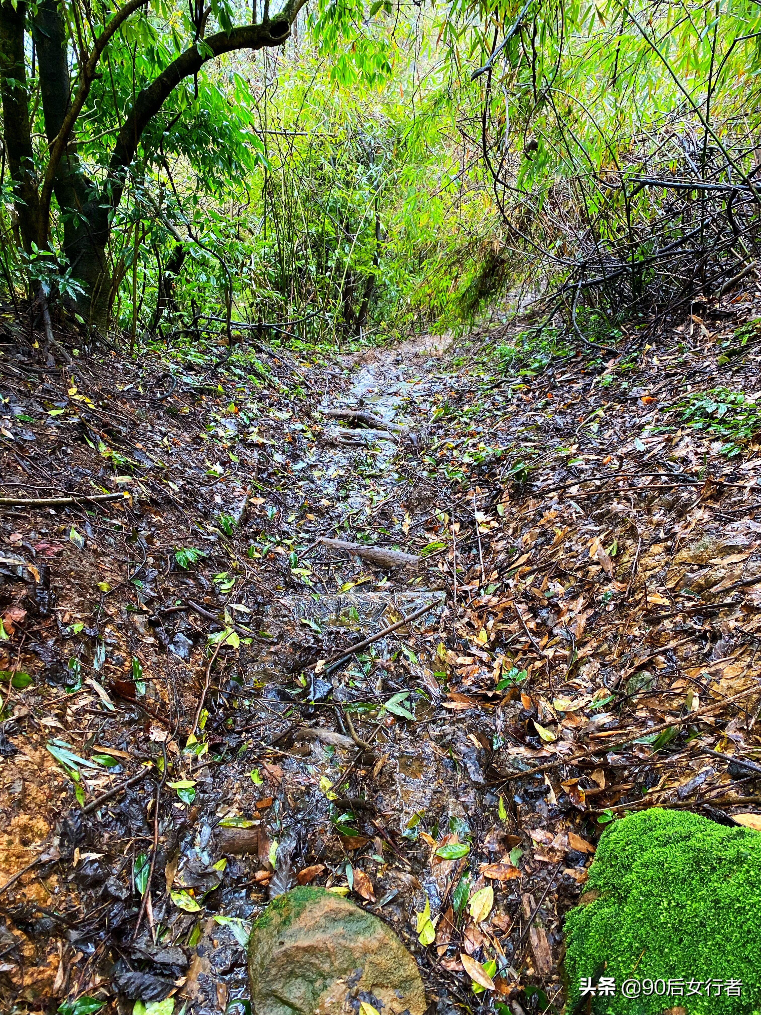 雨天徒步十里长山凹,走进大自然翻山越岭户外徒步