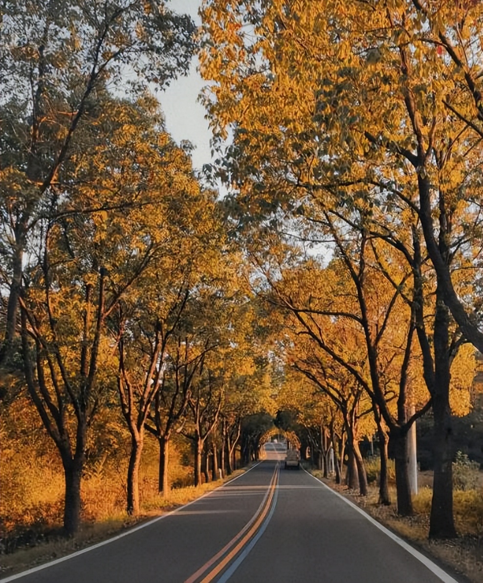 旅游江苏最值得去的地方,江苏有哪些值得旅游的地方和景点