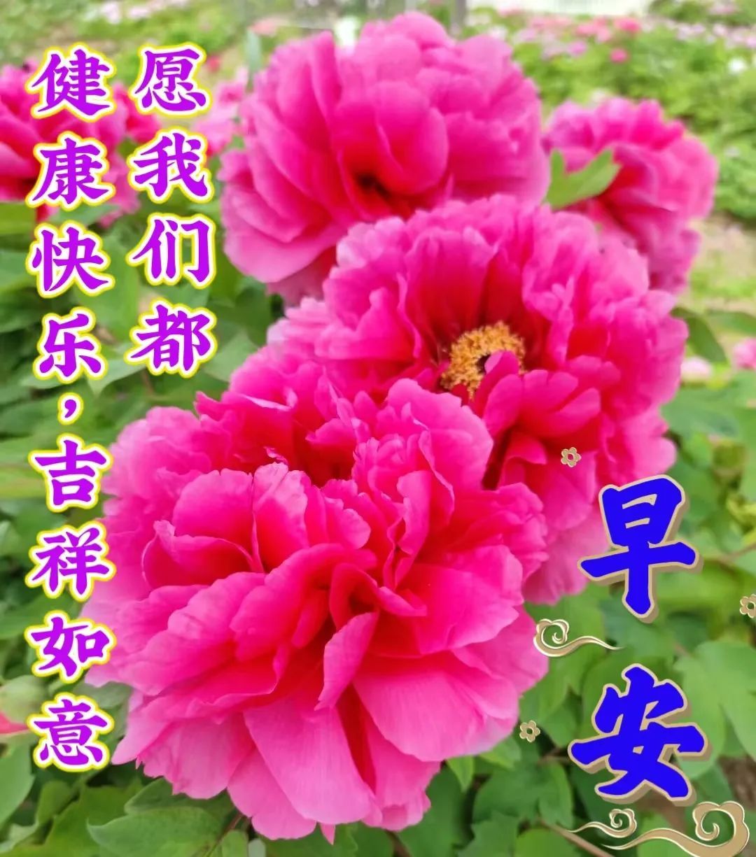 2020早上好问候语带字图片大全,最新版早上好带字温馨祝福图片