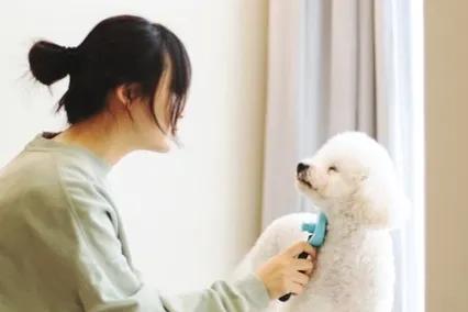 副业兼职小本创业,创业课堂揭秘几个副业赚钱项目