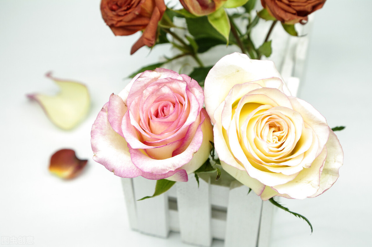 致唯一挚爱的人：愿倾一人心，风吹云动心不动，此岸彼岸心不移