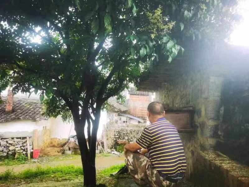 玉林世界杯,玉林世界杯足球赛