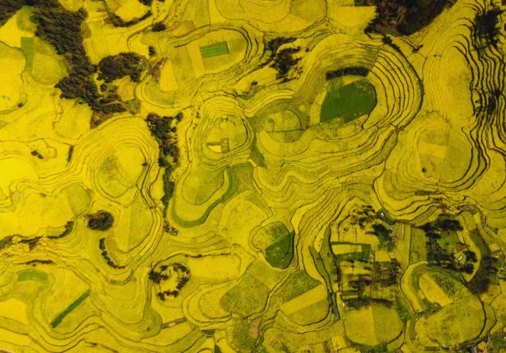 有一种生活叫云南的怒江,有一种生活叫云南生活发布会图片