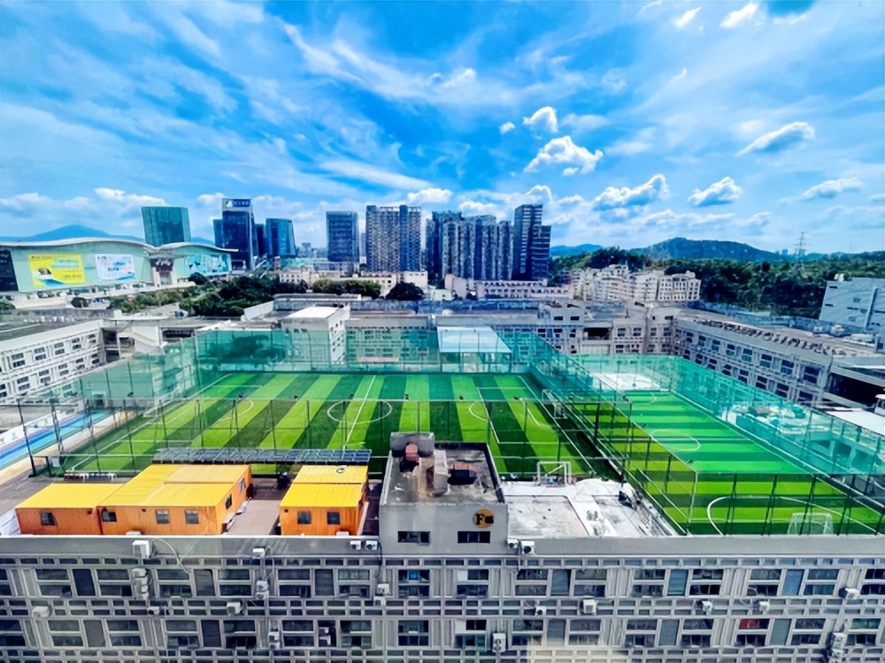 把自家楼顶改造成种菜养鸡的地方,楼顶露台草坪花园改造