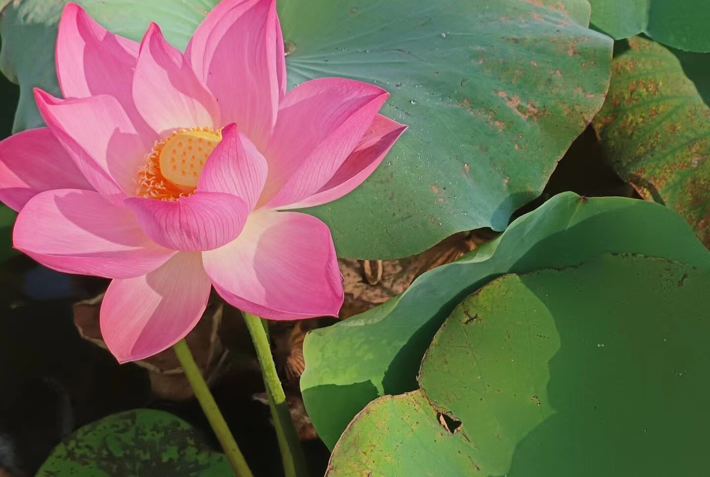 山中医er的“小确幸”