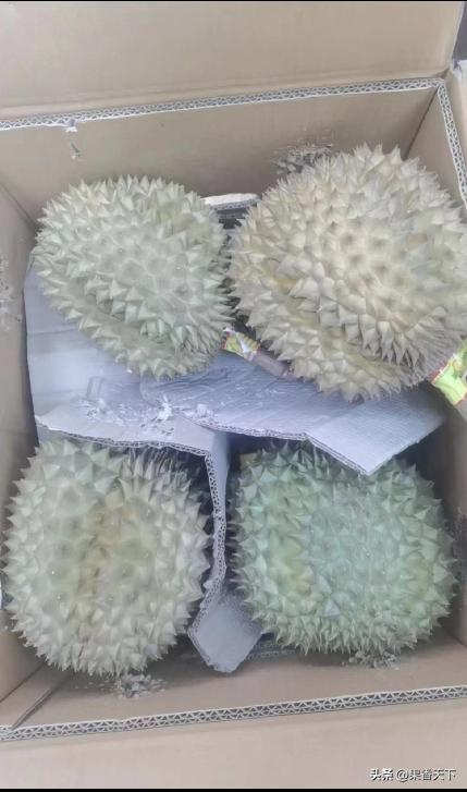 榴莲价格暴跌是真的吗,榴莲降价是因为啥