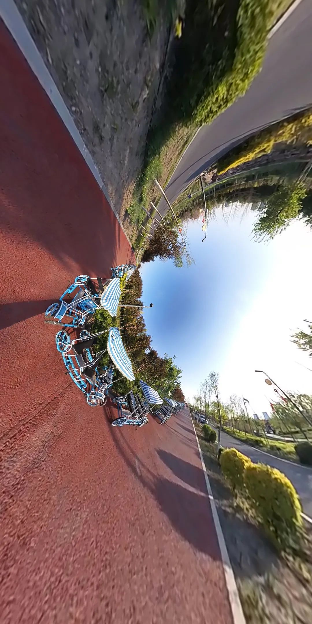 十二师各景点图片,十二师头屯河谷森林公园景区