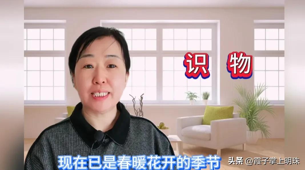 微信加号付款功能怎么没了,微信如何通过付款二维码加人