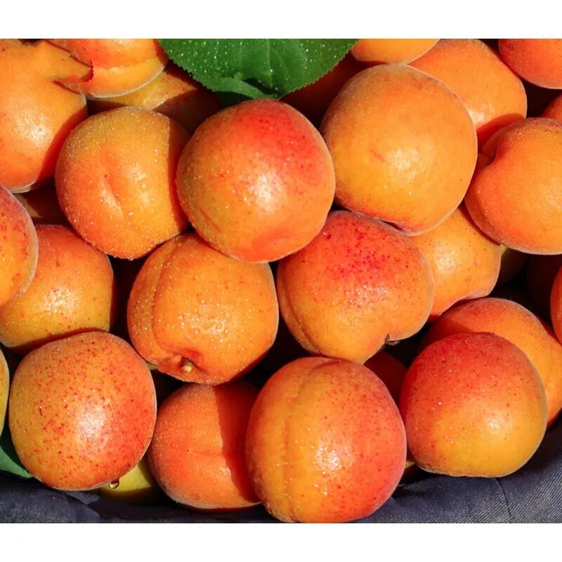 媳妇半夜回家查岗,老婆晚上半夜查岗