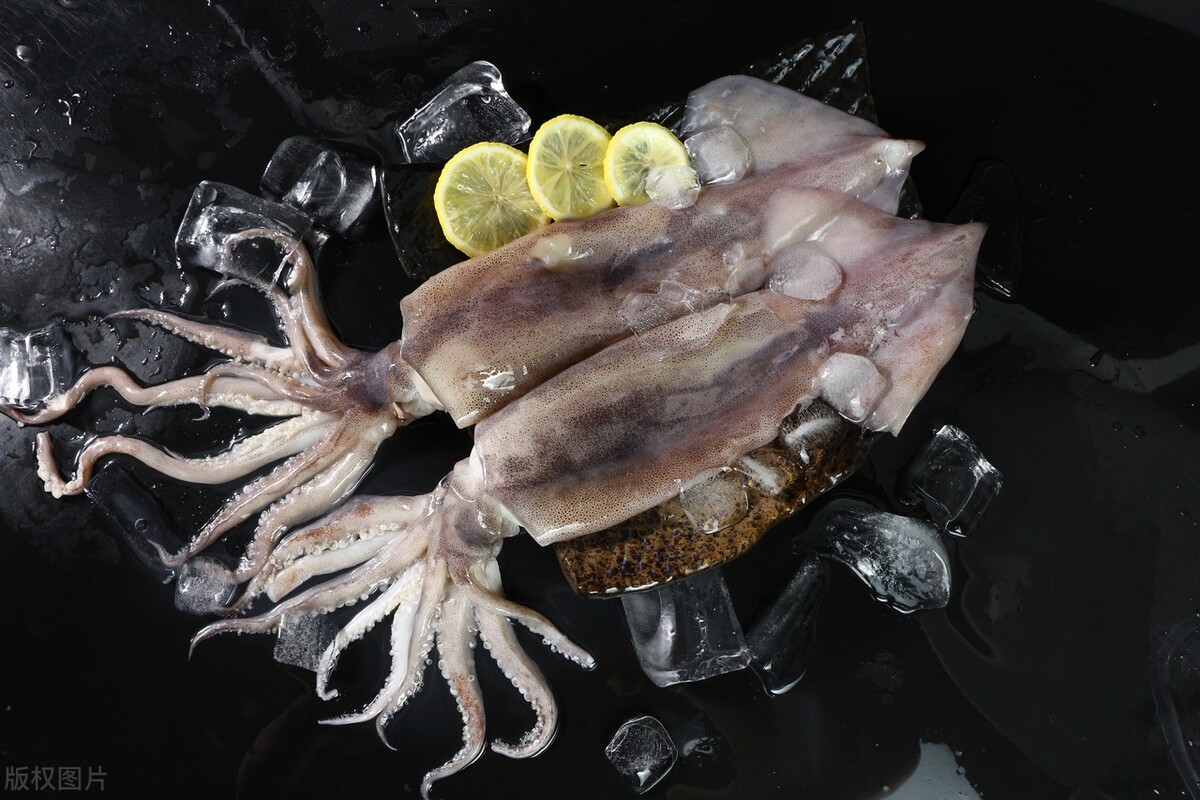 鱿鱼墨鱼章鱼八爪鱼有什么区别吗,如何分清章鱼鱿鱼和墨鱼