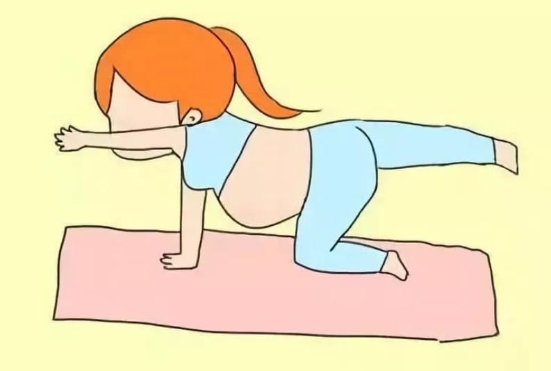 鍒樼晩瀹忛檲濡嶅笇,闄堝甯屽垬鐣婂畯