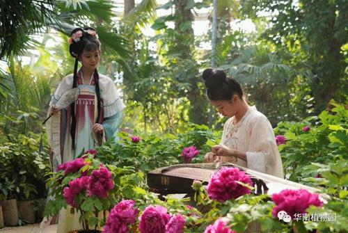 2024春节广州游玩攻略大全,过年游广州超详细攻略发布