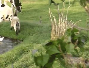 女朋友的房间里找到的工具,她说是手电筒,真以为我不懂吗?